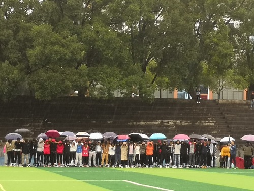 QQ图片20181112111842 QQ图片20181112111842