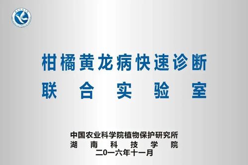 微信图片_20220626093646 微信图片_20220626093646