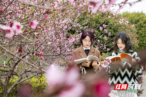 1678843056917-a1iw36qgchw