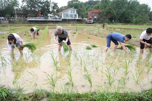 万搏平台积极推动大中小学“五育并举”一体化
