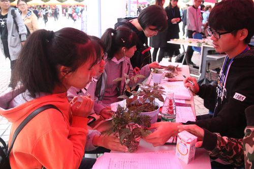 QQ图片20171016084438 QQ图片20171016084438