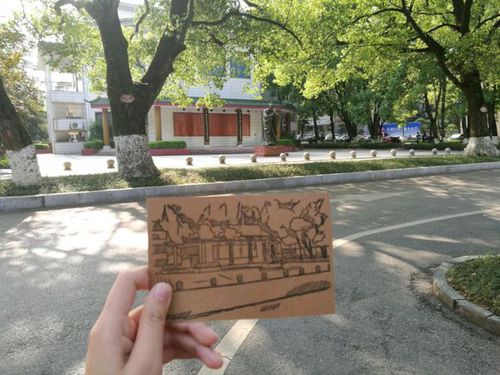 d6af3f9b033b5bb572139ce93cd3d539b700bc79