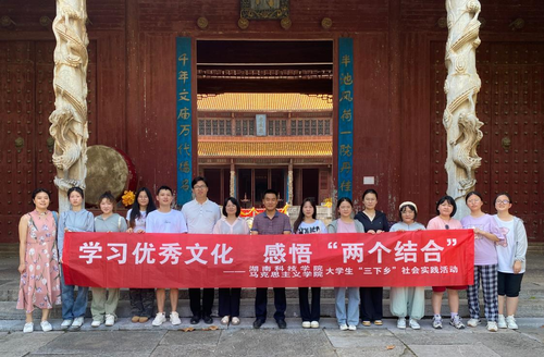 三下乡2 三下乡2