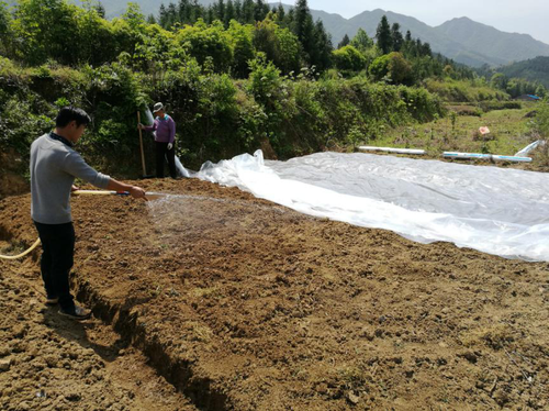 土壤消毒2 土壤消毒2