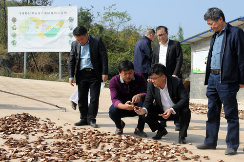 mmexport1573281427191