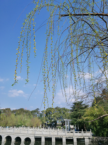 IMG_20180304_150224x